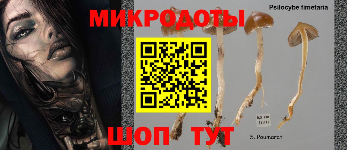 Галлюциногенные грибы Magic Shrooms  Вход с VPN  Серпухов 